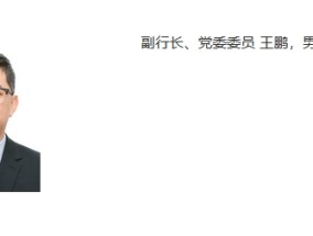 王鹏已任国家开发银行副行长