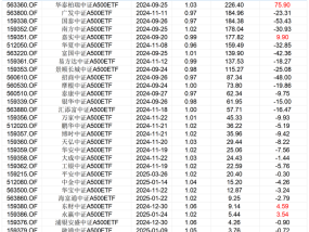 A500ETF座次生变：华泰柏瑞、广发反超，尾部“卷”不动了 | 基金放大镜