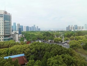 多地“争发”购房补贴！义乌豪掷8000万元，三孩家庭买房可补20万元