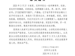 沈阳刑案38岁男子在祖坟上坟时被抓？警方：在山里抓的，具体情况等通报
