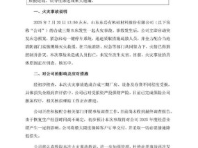有机硅龙头东岳硅材发生火灾，将影响公司业绩