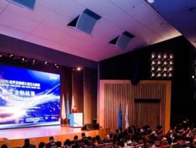 2025年世界互联网大会亚太峰会数字金融论坛举行