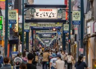 什么是“日本病”？