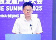 北京大学国发院王敏：中资企业出去以后最大的竞争对手是自己人，自己人杀价最厉害