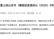 闲置4年！恒大汽车近44万平方米土地被收回